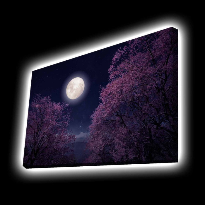Wallity Lienzo Decorativo Iluminado con LED Multicolor 45x70 cm